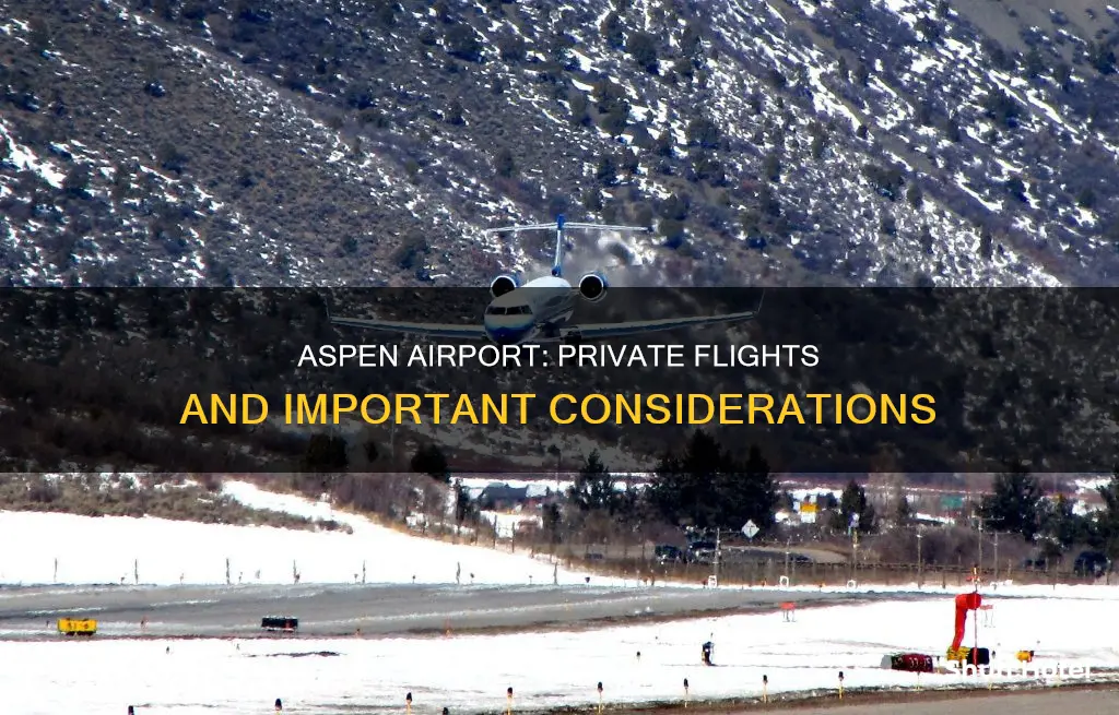 can i fly my plane into aspen airport
