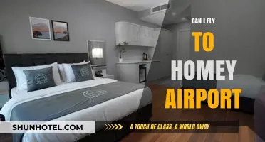 How to Get to Homey Airport by Plane