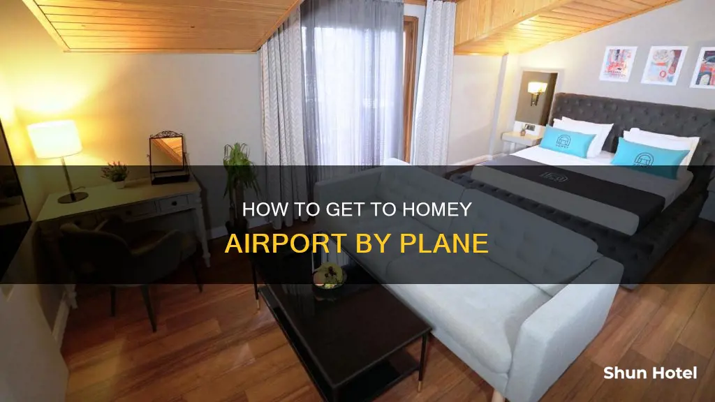 can i fly to homey airport
