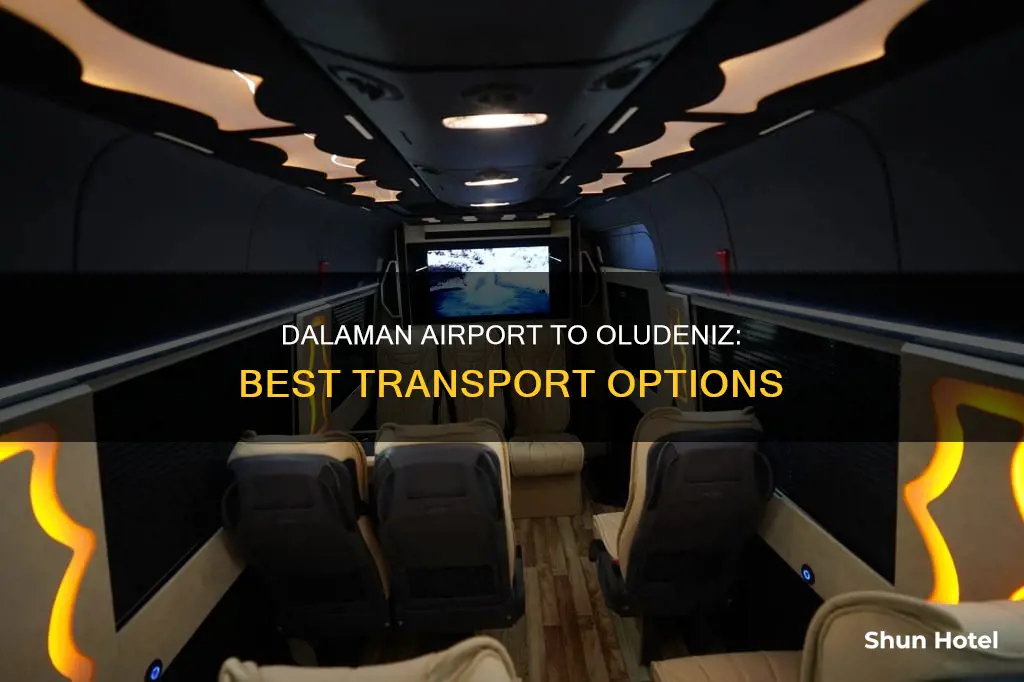 can i get a cab from dalaman airport to oldeniz
