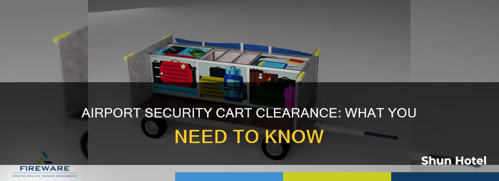 can i get a cart through airport security