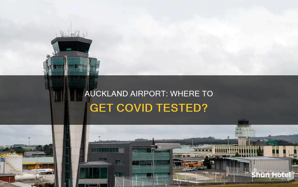 can i get a covid test at auckland airport