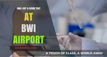 Rapid COVID Testing: Available at BWI Airport?