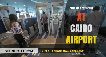 Cairo Airport: COVID Testing Availability