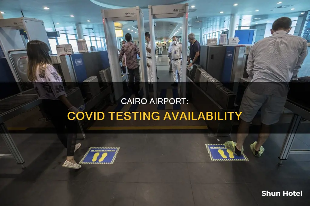 can i get a covid test at cairo airport