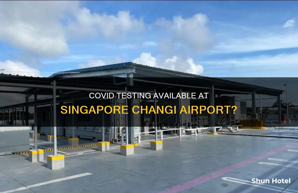 can i get a covid test at singapore airport