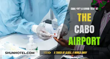 Cabo Airport: COVID Testing Available?
