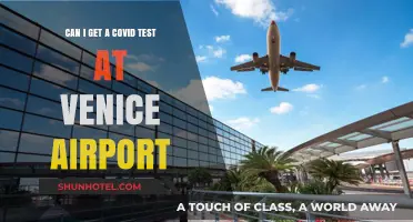 Venice Airport: COVID Testing Availability