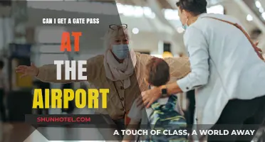 How to Get a Gate Pass at the Airport
