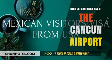 Cancun Airport: Mexican Visa on Arrival?