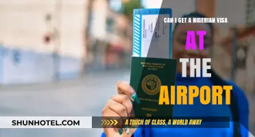 Nigerian Visa: Airport Availability and Requirements