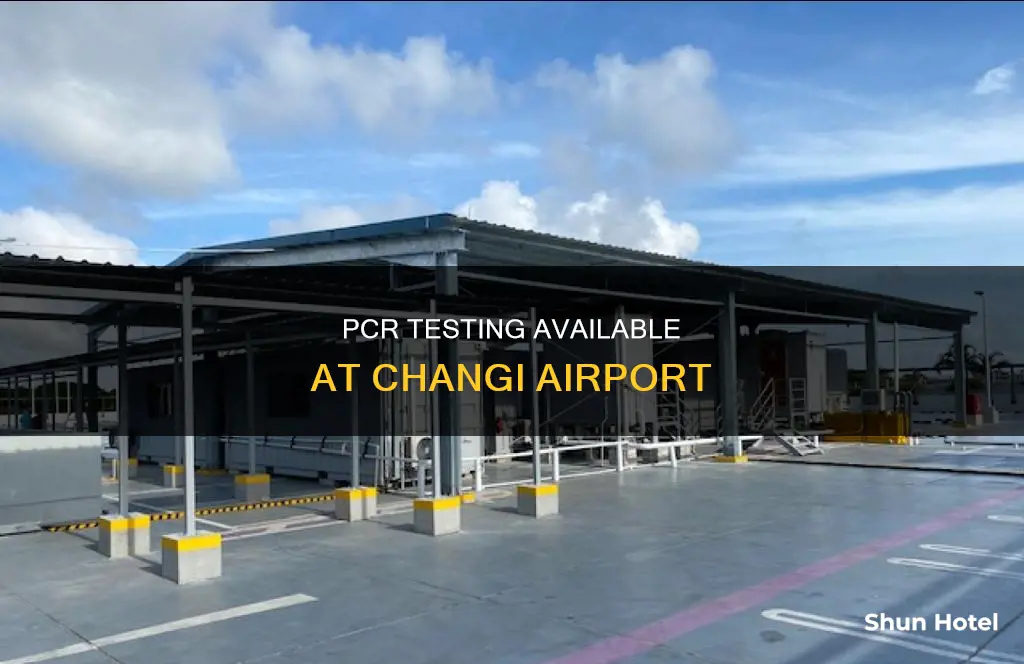 can i get a pcr test at changi airport