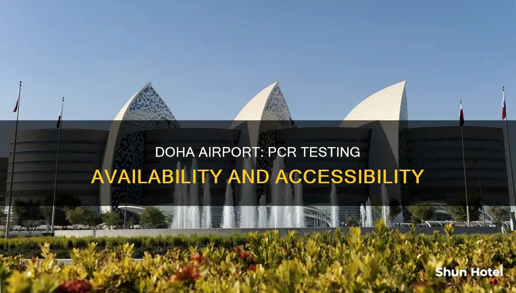 can i get a pcr test at doha airport