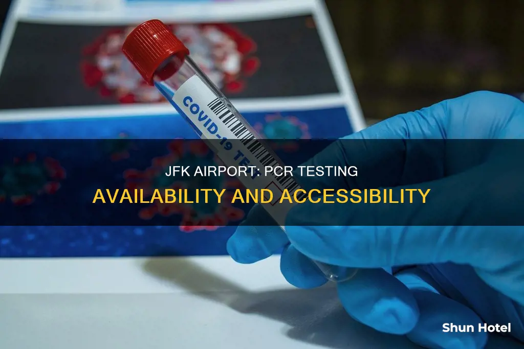 can i get a pcr test at jfk airport