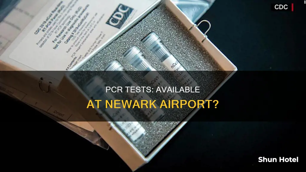 can i get a pcr test at newark airport