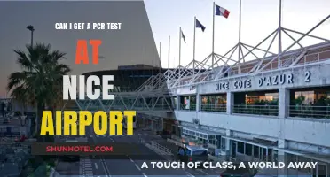 PCR Testing: Nice Airport's Availability