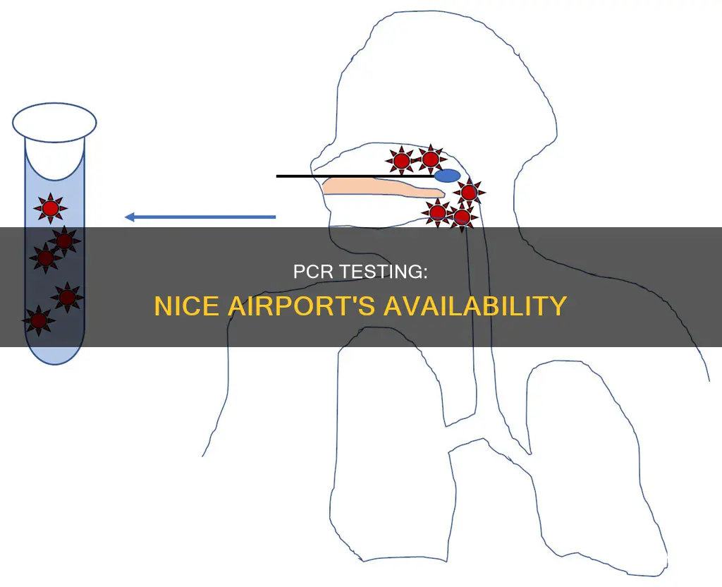 can i get a pcr test at nice airport