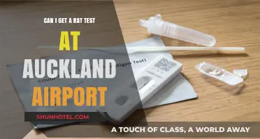 Rat Testing at Auckland Airport: What You Need to Know