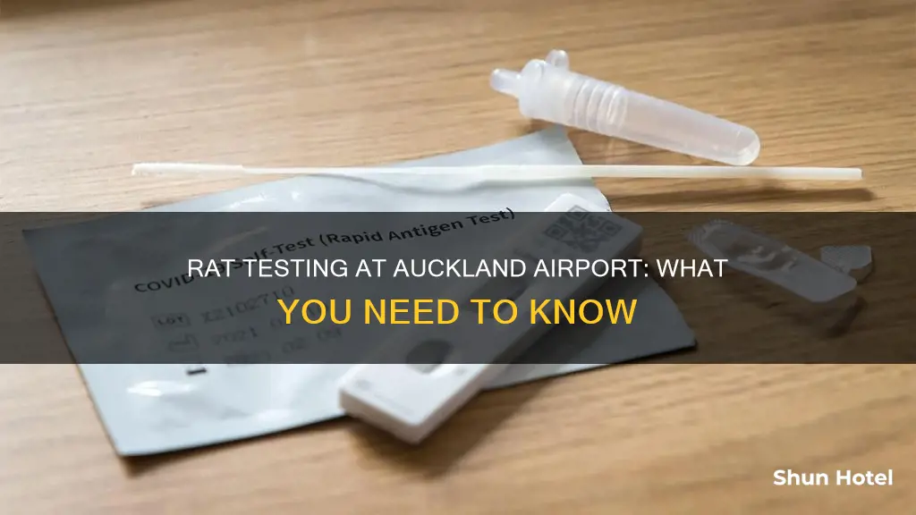 can i get a rat test at auckland airport