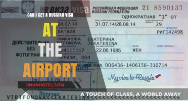 Russian Visa at the Airport: Is It Possible?