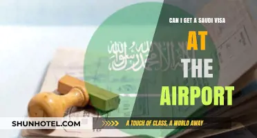 Saudi Visa: Airport Availability?