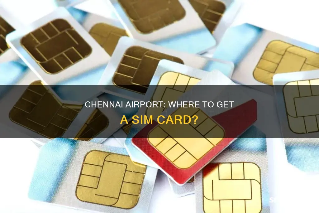 can i get a sim card at chennai airport