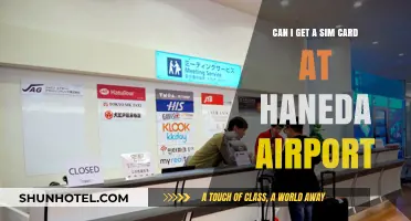 Haneda Airport: Where to Get a Sim Card?