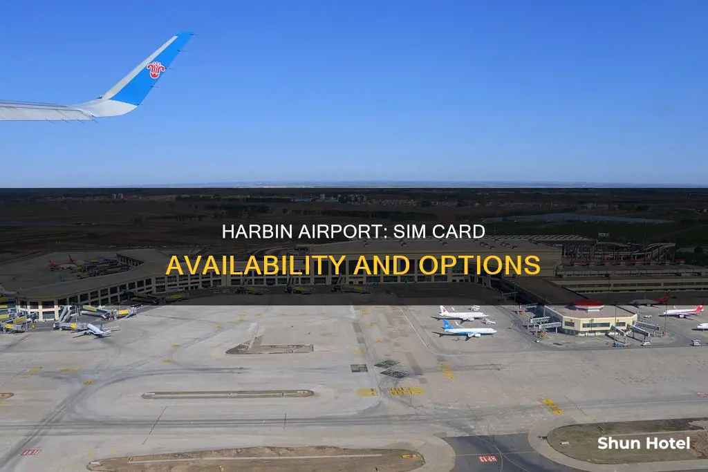 can i get a sim card at harbin airport