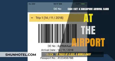 Singapore Arrival Card: Get It at Airport?