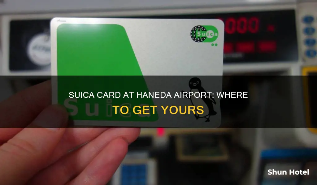 can i get a suica card at haneda airport
