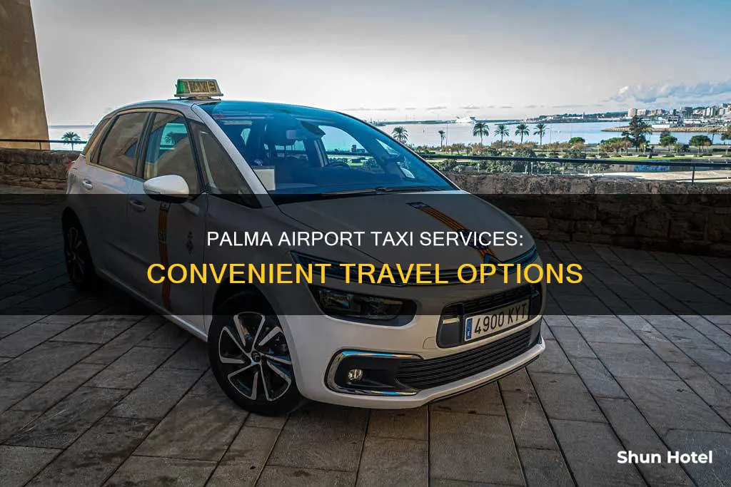 can i get a taxi from palma airport