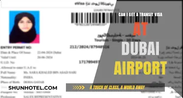 Dubai Airport Transit Visa: What Are Your Options?