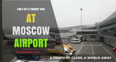 How to Get a Transit Visa at Moscow Airport
