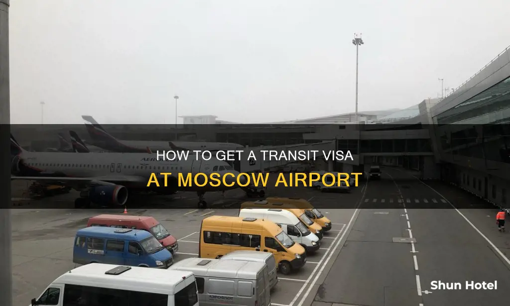 can i get a transit visa at moscow airport