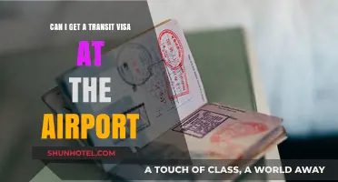How to Get a Transit Visa at the Airport?