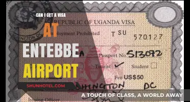 Entebbe Airport Visa Processing: What You Need to Know