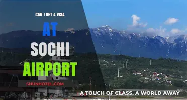 Sochi Airport Visa: Can You Get One on Arrival?