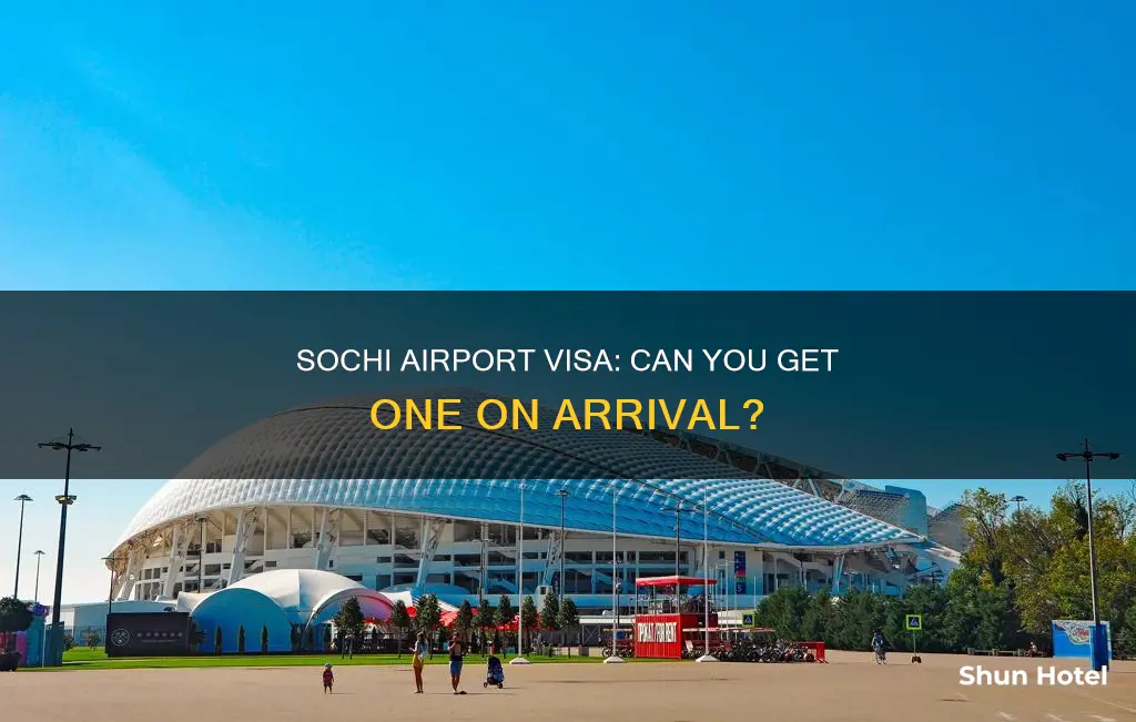 can i get a visa at sochi airport