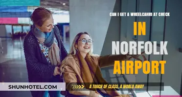 Wheelchair Accessibility: Norfolk Airport Check-In