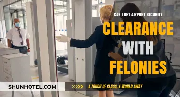 Airport Security Clearance: Felonies and Your Chances