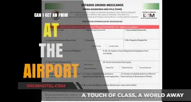 How to Get an FMM at the Airport