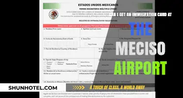 Immigration Cards: Obtaining at Mexico Airport?