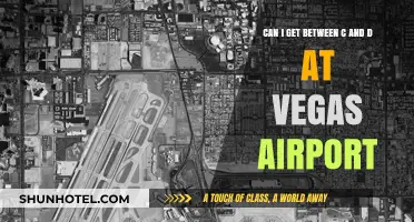 Navigating Vegas Airport: From C to D