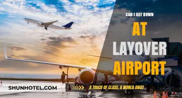 Exploring Layover Airports: Can I Get Out?