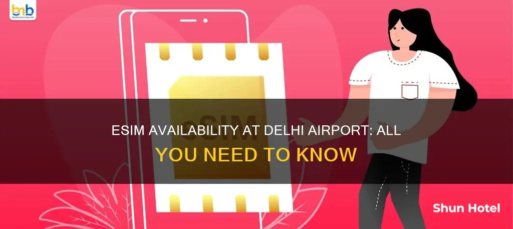 can i get esim at delhi airport