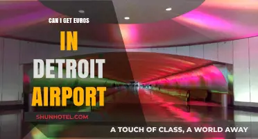 Detroit Airport: Euros Available for Travelers