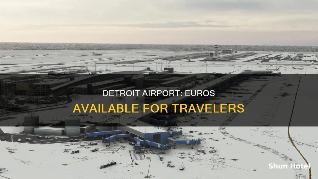 can i get euros in detroit airport