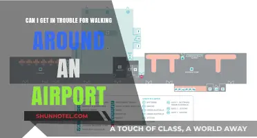 Exploring Airport Terminals: Is It Legal?