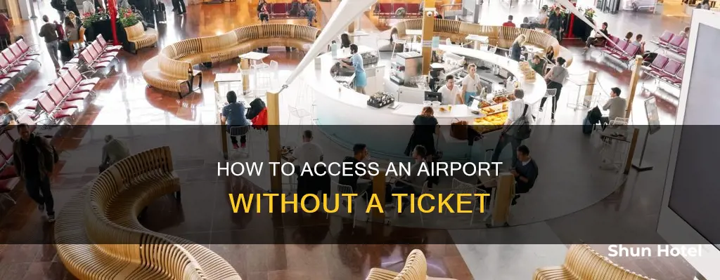 can i get inside the airport without a ticket