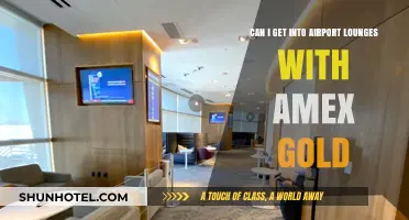 Accessing Airport Lounges: Amex Gold Benefits